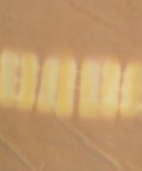 R.H.Vintage（ロンハーマンヴィンテージ）その他 ベージュ サイズ:XS レディース/2200631219491