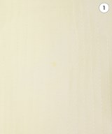 RHC Ron Herman（アールエイチシーロンハーマン）その他 白 サイズ:F レディース/2200631151722