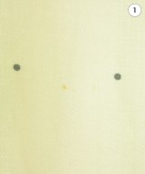 D-due（デドゥエ）ワンピース 黄 サイズ:40(M位) レディース/2200626156015