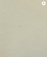 Morris&Sons（モリスアンドサンズ）Tシャツ・カットソー 白 サイズ:0(XS位) レディース/2200677221052