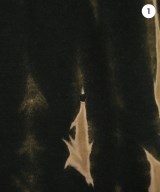 VAINL ARCHIVE（ヴァイナルアーカイブ）Tシャツ・カットソー 黒 サイズ:L メンズ/2200662277040