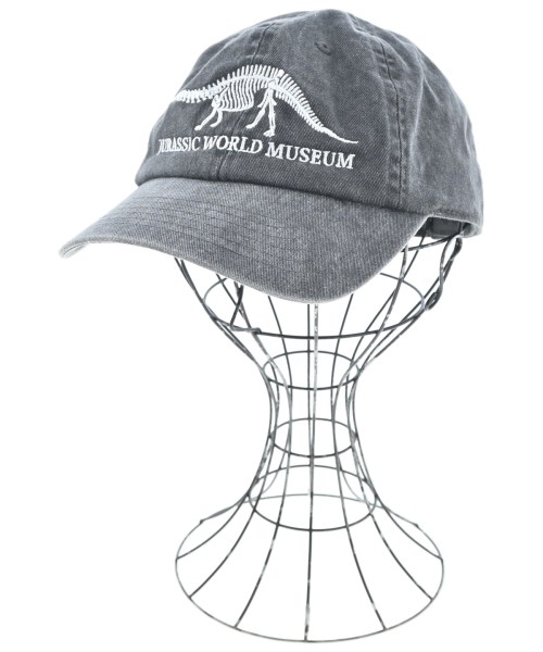 ESSAY(エッセイ)キャップ グレー サイズ:ONE/2200663025053