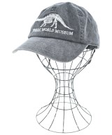 ESSAY（エッセイ）キャップ グレー サイズ:ONE メンズ/2200663025053