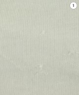 EDITION（エディション）Tシャツ・カットソー 白 サイズ:F レディース/2200586229064