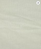 EDITION（エディション）Tシャツ・カットソー 白 サイズ:F レディース/2200586229064