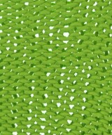 EDITION（エディション）ニット・セーター 緑 サイズ:F レディース/2200619062033