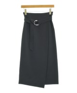 BLENHEIM（ブレンヘイム）ロング・マキシ丈スカート 黒 サイズ:XS レディース/2200654585078