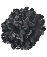 CURRENTAGE 小物類（その他）