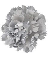 CURRENTAGE 小物類（その他）