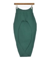 TAN（タン）ひざ丈スカート 緑 サイズ:F レディース/2200645524864