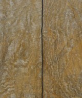 TODAYFUL（トゥデイフル）Tシャツ・カットソー 茶 サイズ:F レディース/2200645401035