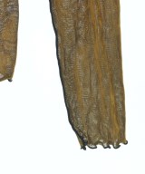 TODAYFUL（トゥデイフル）Tシャツ・カットソー 茶 サイズ:F レディース/2200645401035