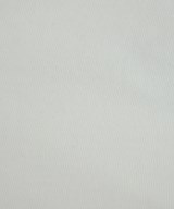 INSCRIRE（アンスクリア）Tシャツ・カットソー 白 サイズ:F レディース/2200629492035