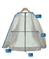 AK+1 by EFFE BEAMS（エーケーワンバイエッフェビームス）ブラウス グレー サイズ:F レディース/2200628172266