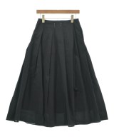 AK+1 by EFFE BEAMS（エーケーワンバイエッフェビームス）ロング・マキシ丈スカート 黒 サイズ:36(S位) レディース/2200622290058