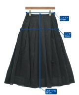 AK+1 by EFFE BEAMS（エーケーワンバイエッフェビームス）ロング・マキシ丈スカート 黒 サイズ:36(S位) レディース/2200622290058