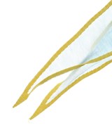 ASAUCE MELER（アソースメレ）ストール 青 サイズ:- レディース/2200645295061