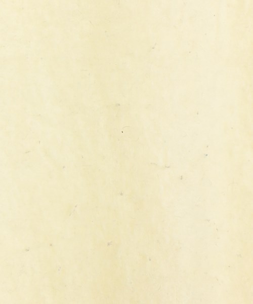 ATON（エイトン）ニット・セーター 白 サイズ:06(XXXL位) レディース/2200639158136