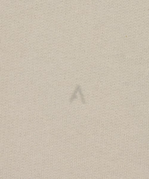 ATON（エイトン）スウェット グレー サイズ:-(XXL位) メンズ/2200719712036