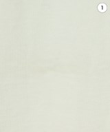 ATON（エイトン）Tシャツ・カットソー 白 サイズ:02(M位) レディース/2200703452078