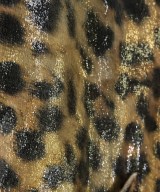 doublet（ダブレット）その他 ベージュ サイズ:-(XXL位) メンズ/2200667672062