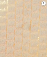 LEINWANDE（ラインヴァンド）ニット・セーター ベージュ サイズ:F レディース/2200637753098