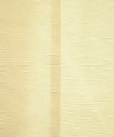 ebure（エブール）ロング・マキシ丈スカート 白 サイズ:-(M位) レディース/2200631199052