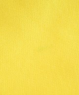 ebure（エブール）ニット・セーター 黄 サイズ:38(M位) レディース/2200732191061