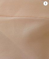 JOURNAL STANDARD NEU（ジャーナルスタンダードノイ）ブラウス ピンク サイズ:F レディース/2200712095068
