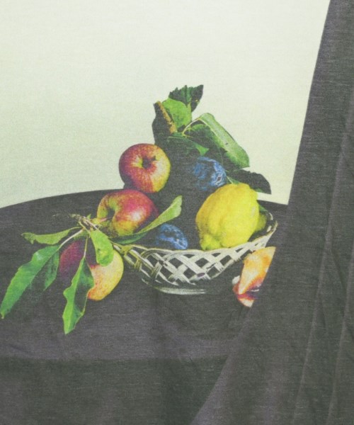 TOGA VIRILIS（トーガ　ビリリース）Tシャツ・カットソー その他（柄物・カラフル） サイズ:46(M位) メンズ/2200688024024