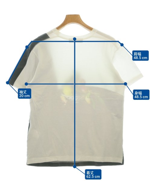 TOGA VIRILIS（トーガ　ビリリース）Tシャツ・カットソー その他（柄物・カラフル） サイズ:46(M位) メンズ/2200688024024