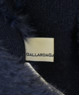 GALLARDAGALANTE NAVY（ガリャルダガランテネイビー）ニット・セーター 紺 サイズ:F レディース/2200715057018