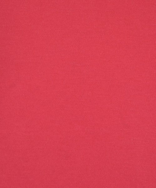 SLOANE（スローン）Tシャツ・カットソー 赤 サイズ:-(XL位) レディース/2200646306063