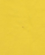 SCYE BASICS（サイベーシックス）ポロシャツ 黄 サイズ:38(M位) メンズ/2200677065335