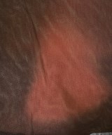 OUR LEGACY（アワーレガシー）Tシャツ・カットソー 茶 サイズ:46(M位) メンズ/2200625086061