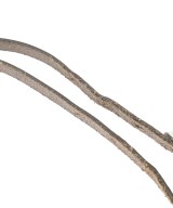 OUR LEGACY（アワーレガシー）ベルト 黒 サイズ:- メンズ/2200611779083