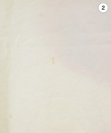 OUR LEGACY（アワーレガシー）Tシャツ・カットソー 白 サイズ:46(M位) メンズ/2200712428057