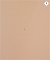 CELFORD（セルフォード）ロング・マキシ丈スカート ピンク サイズ:38(M位) レディース/2200630478028