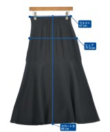 CELFORD（セルフォード）ロング・マキシ丈スカート 黒 サイズ:36(S位) レディース/2200702199042