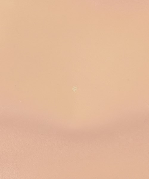 CALVIN KLEIN（カルバンクライン）トートバッグ ピンク サイズ:- レディース/2200669146103