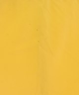 SHENERY（シーナリー）ロング・マキシ丈スカート 黄 サイズ:38(M位) レディース/2200620844024