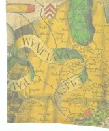 AMERI（アメリ）Tシャツ・カットソー 黄 サイズ:F レディース/2200637753050