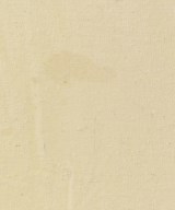 Baserange（ベースレンジ）カジュアルシャツ 白 サイズ:S レディース/2200695511388