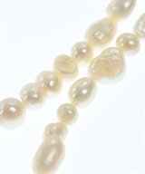 YLEVE（イレーヴ）ネックレス 白 サイズ:- レディース/2200613547222