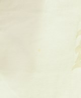 R JUBILEE（アールジュビリー）Tシャツ・カットソー 白 サイズ:F レディース/2200710321046