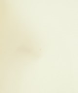 MyLanka（ミランカ）ワンピース 白 サイズ:38(M位) レディース/2200602635015