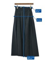 CELERI（セルリ）ロング・マキシ丈スカート 黒 サイズ:36(S位) レディース/2200664912079