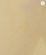 Little Suzie（リトルスージー）その他 白 サイズ:ONE レディース/2200626783037