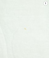 Aries（アリエス）Tシャツ・カットソー 白 サイズ:F レディース/2200634106088