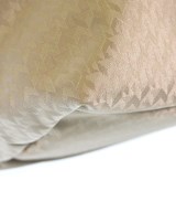 ROBERTA PIERI（ロベルタピエリ）トートバッグ ベージュ サイズ:- レディース/2200676367102